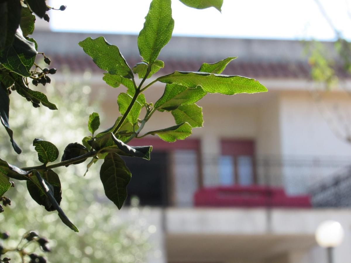 Casa Il Giovane Alloro Martina Franca Buitenkant foto